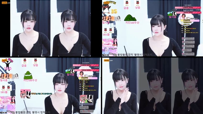 KBJ24112225_mincho1004_sexkbj